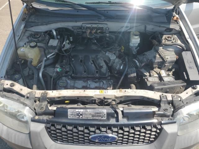 2007 Ford Escape XLT