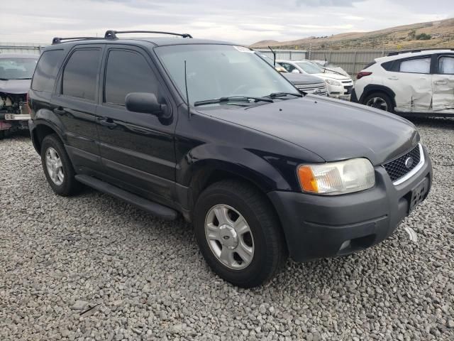 2003 Ford Escape XLT