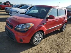 Salvage cars for sale at Brighton, CO auction: 2013 KIA Soul