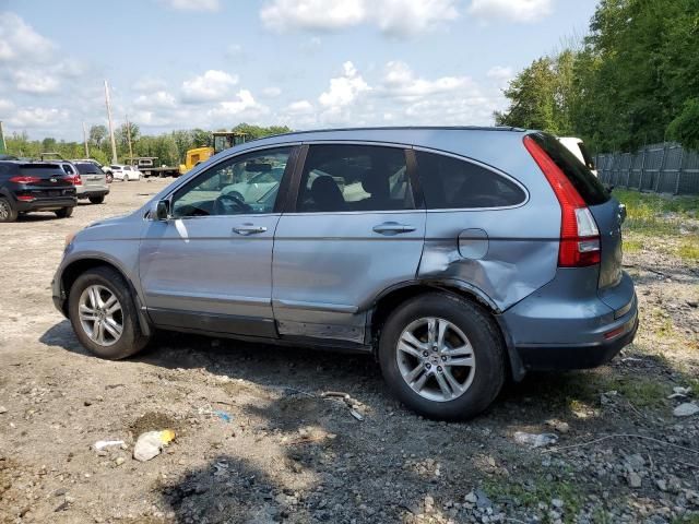 2010 Honda CR-V EXL