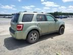 2008 Ford Escape HEV