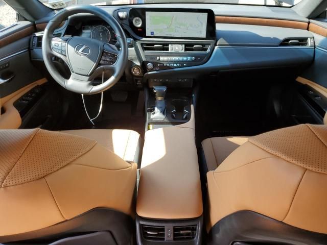 2024 Lexus ES 250 Base