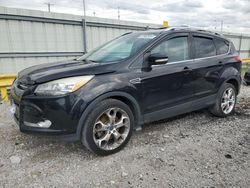 Salvage cars for sale from Copart Lawrenceburg, KY: 2013 Ford Escape Titanium