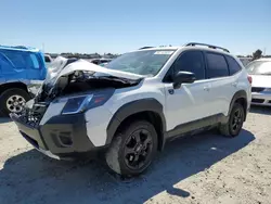 Salvage cars for sale from Copart Antelope, CA: 2022 Subaru Forester Wilderness