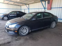 Chevrolet salvage cars for sale: 2013 Chevrolet Cruze ECO