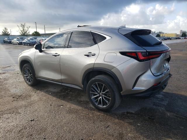 2024 Lexus NX 250 Base