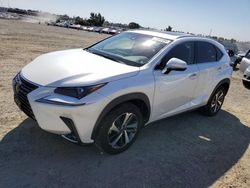 Salvage cars for sale at Antelope, CA auction: 2019 Lexus NX 300 Base