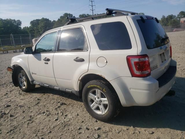 2011 Ford Escape Hybrid