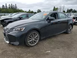 Salvage cars for sale at Bowmanville, ON auction: 2020 Lexus IS 300 Premium