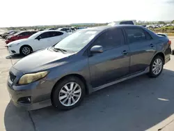 Toyota salvage cars for sale: 2010 Toyota Corolla Base