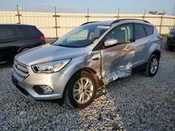 Salvage cars for sale at Cahokia Heights, IL auction: 2019 Ford Escape SEL