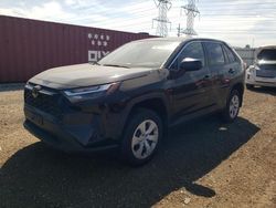 Salvage cars for sale at Elgin, IL auction: 2023 Toyota Rav4 LE