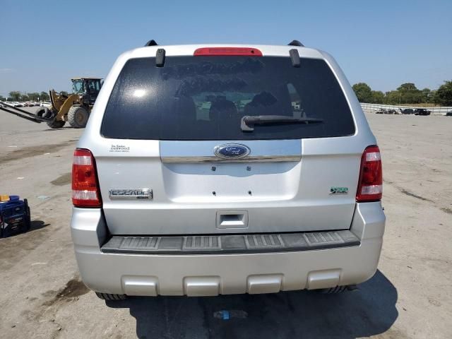 2010 Ford Escape Limited