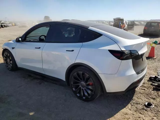 2020 Tesla Model Y