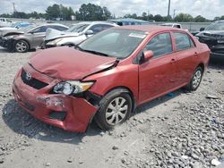 Toyota salvage cars for sale: 2010 Toyota Corolla Base