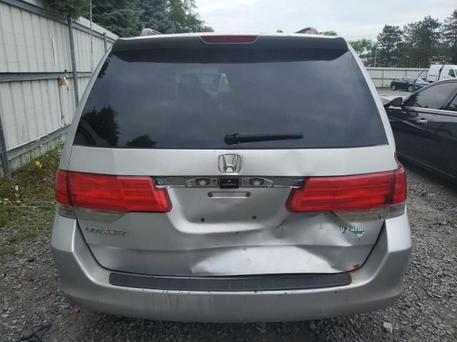 2010 Honda Odyssey EX