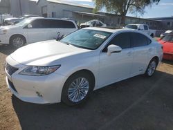 Salvage cars for sale at Albuquerque, NM auction: 2013 Lexus ES 300H