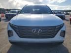 2023 Hyundai Tucson Blue