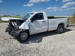 Salvage cars for sale at Taylor, TX auction: 2019 Chevrolet Silverado C1500