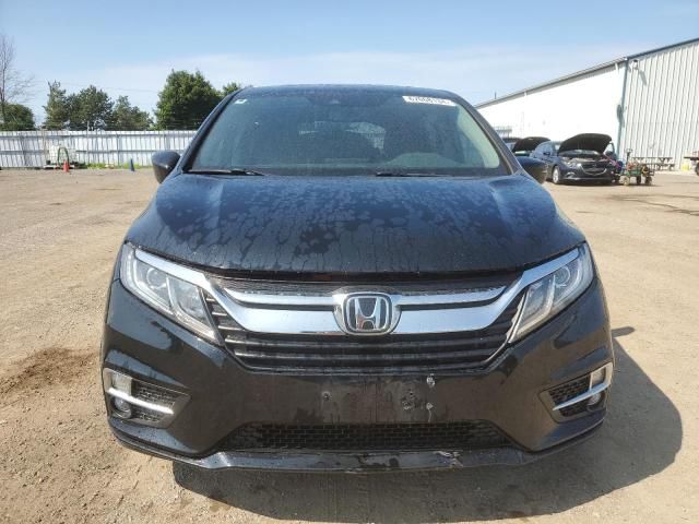 2019 Honda Odyssey EXL