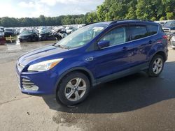 Salvage cars for sale at Glassboro, NJ auction: 2013 Ford Escape SE