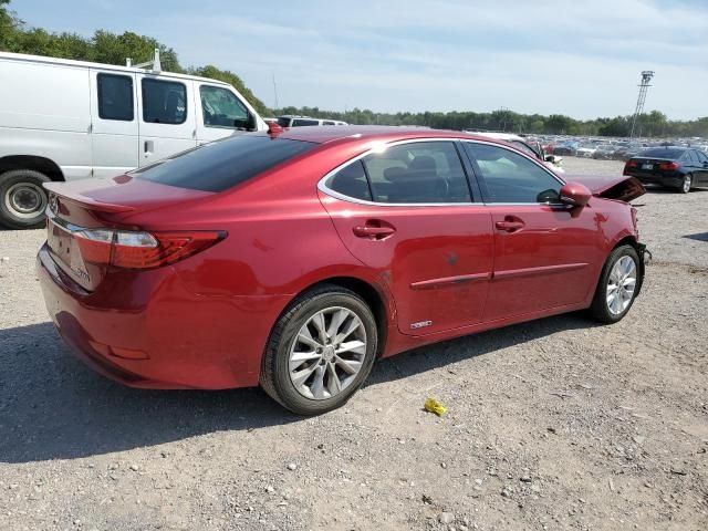 2014 Lexus ES 300H