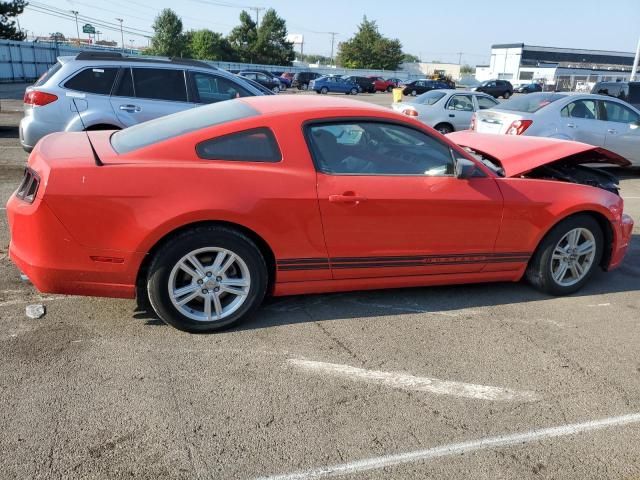 2013 Ford Mustang