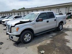 Salvage trucks for sale at Louisville, KY auction: 2010 Ford F150 Supercrew