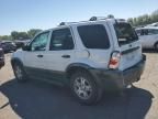 2005 Ford Escape XLT