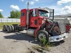 2010 Peterbilt 386