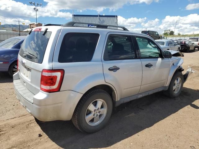 2011 Ford Escape XLT