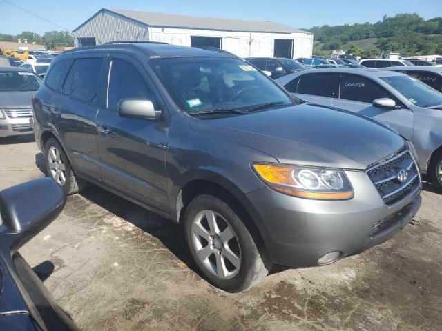 2009 Hyundai Santa FE SE