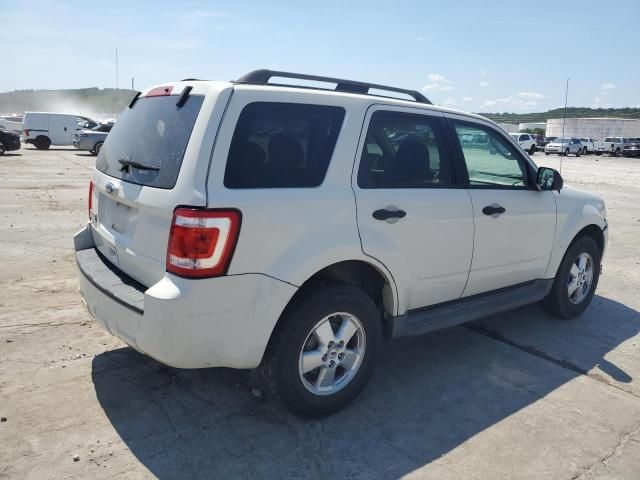 2009 Ford Escape XLT