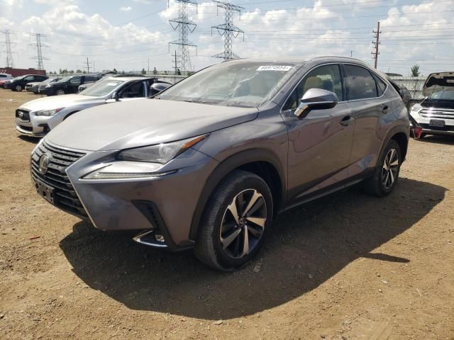 2019 Lexus NX 300 Base