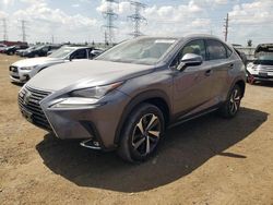 Salvage cars for sale at Elgin, IL auction: 2019 Lexus NX 300 Base