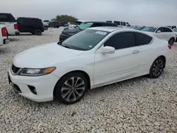 Salvage cars for sale at Taylor, TX auction: 2013 Honda Accord EXL