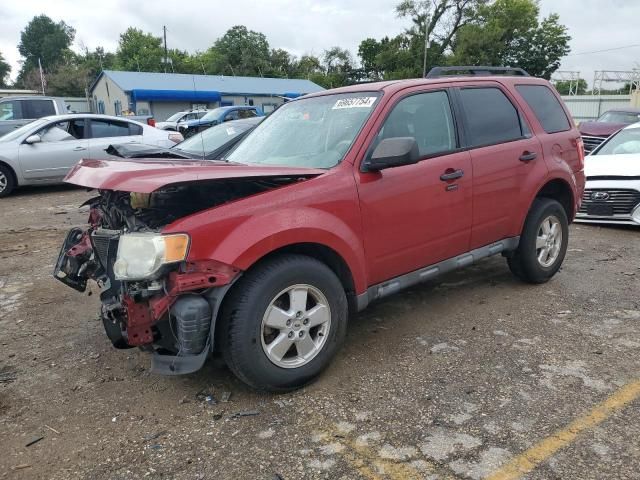 2010 Ford Escape XLT