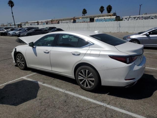 2019 Lexus ES 350