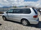 2002 Honda Odyssey EXL