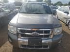 2010 Ford Escape Limited