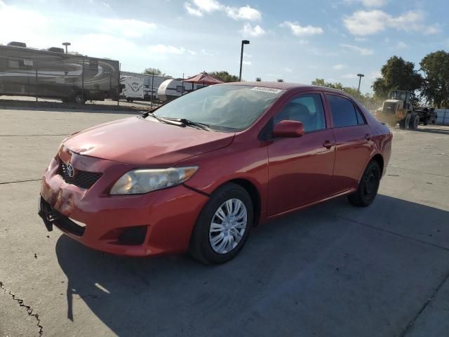 2010 Toyota Corolla Base