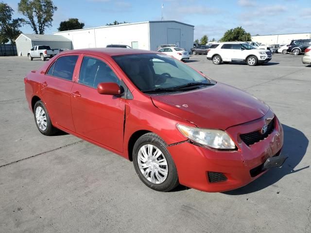 2010 Toyota Corolla Base