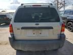 2005 Ford Escape XLT