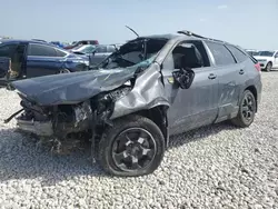 Salvage cars for sale at Taylor, TX auction: 2024 Subaru Forester Wilderness