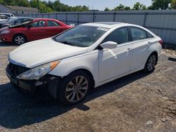 Salvage cars for sale at York Haven, PA auction: 2012 Hyundai Sonata SE