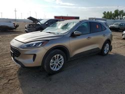 Salvage cars for sale at Greenwood, NE auction: 2020 Ford Escape SE