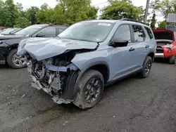 Salvage cars for sale at Marlboro, NY auction: 2025 Honda Pilot Trailsport