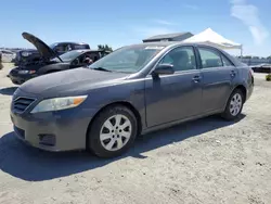 Salvage cars for sale at Antelope, CA auction: 2010 Toyota Camry Base