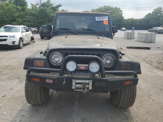 1998 Jeep Wrangler / TJ Sahara