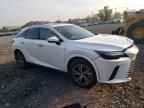 2023 Lexus RX 350 Base